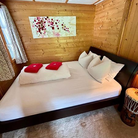 Guest House Du Grand Paradis - On Piste تشامبري المظهر الخارجي الصورة