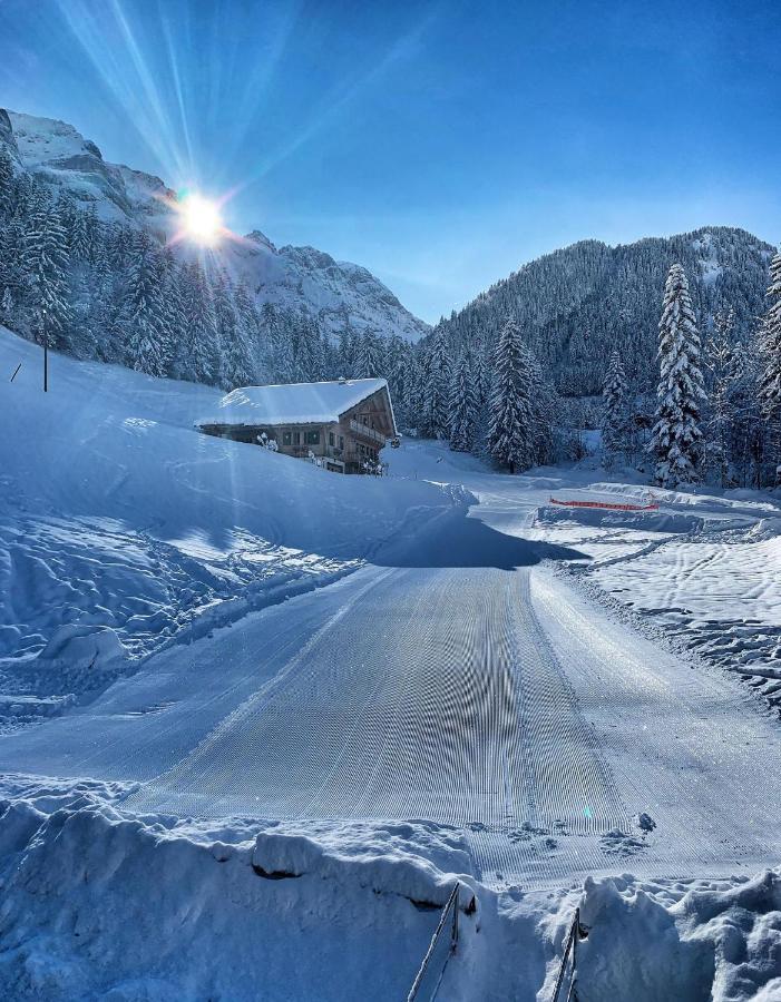 Guest House Du Grand Paradis - On Piste تشامبري المظهر الخارجي الصورة