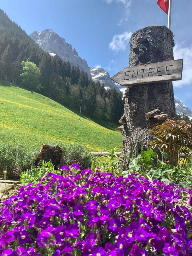 Guest House Du Grand Paradis - On Piste تشامبري المظهر الخارجي الصورة