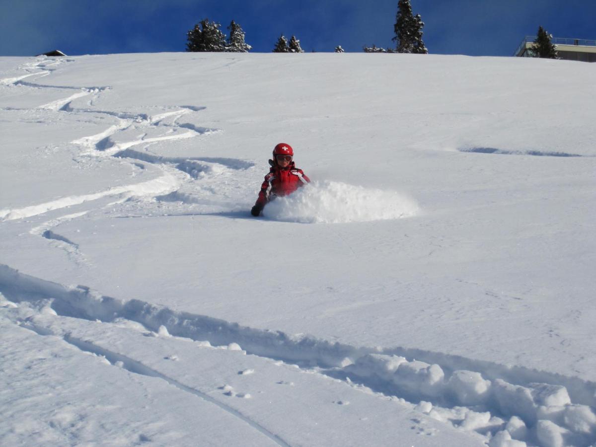Guest House Du Grand Paradis - On Piste تشامبري المظهر الخارجي الصورة